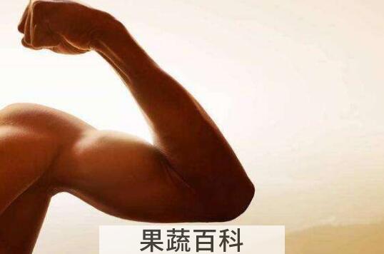 练肌肉吃什么 练肌肉最忌讳吃什么