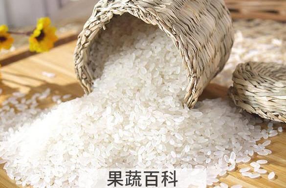 绿色大米的功效与作用 绿色大米的危害