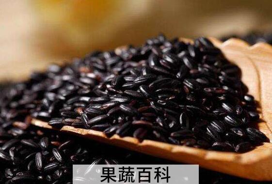 这五类人不宜吃黑米 吃黑米的禁忌