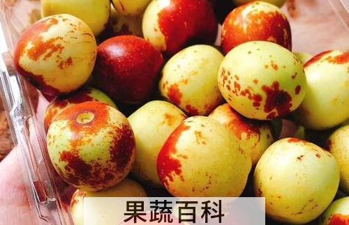 北枣的功效与作用及禁忌