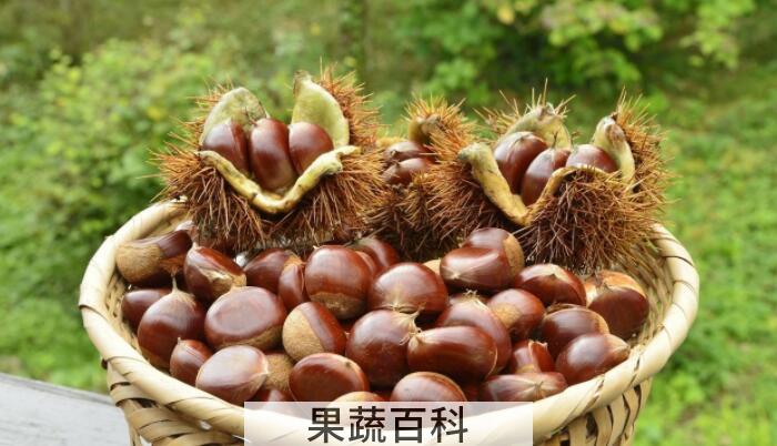 吃板栗的好处有哪些，分享几个板栗的功效与作用
