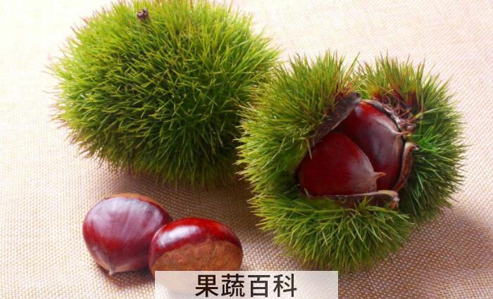 吃板栗的好处有哪些，分享几个板栗的功效与作用