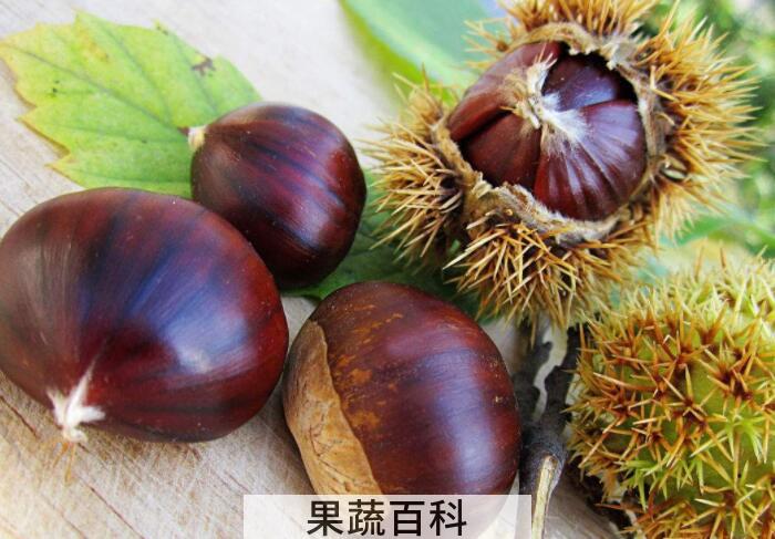 吃板栗的好处有哪些，分享几个板栗的功效与作用