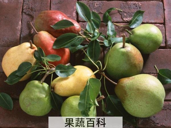 祛火降燥滋补神器 四季吃什么水果降火