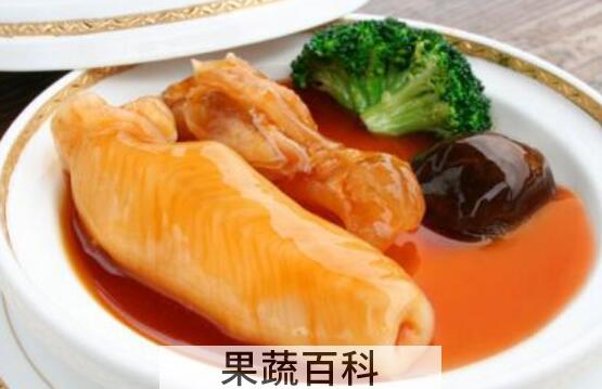 花胶的正确泡发方法 花胶怎么泡发