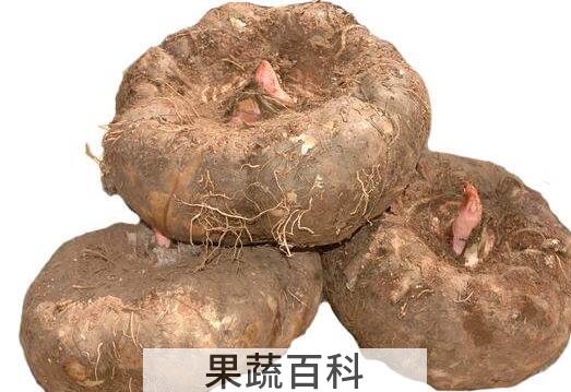 雪贝的功效与作用