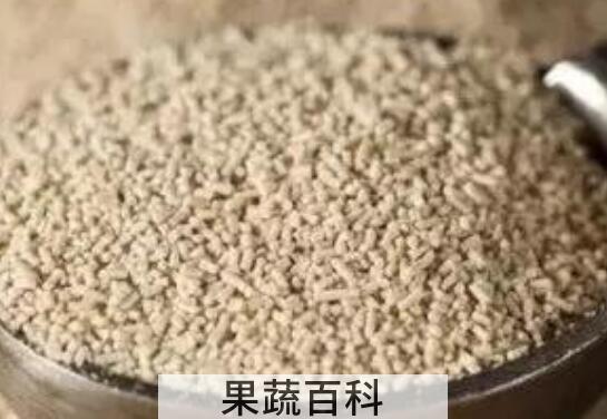 酵母的作用与功效
