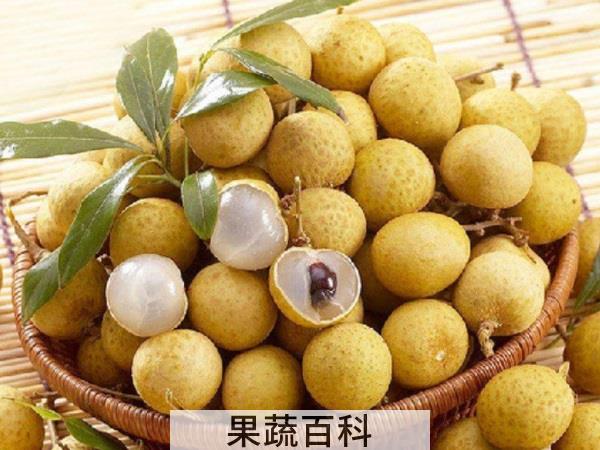 补血预防血缺失 吃什么水果可以补血