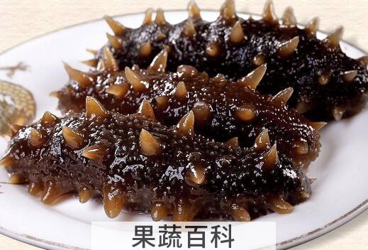 九类人群不适合吃海参