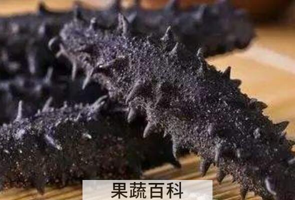 九类人群不适合吃海参