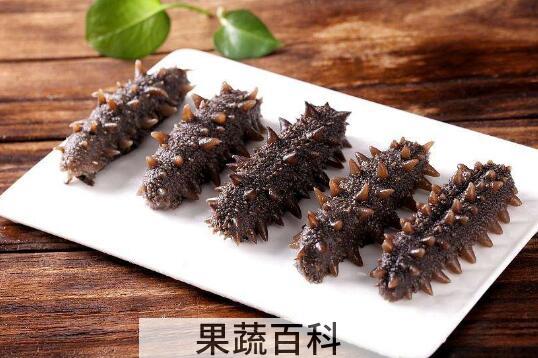 辽参和海参的区别 吃辽参的好处