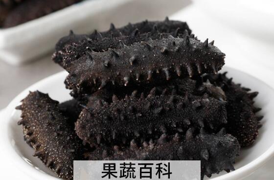 辽参和海参的区别 吃辽参的好处