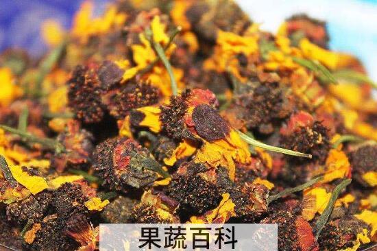 天山雪菊泡水喝有什么好处