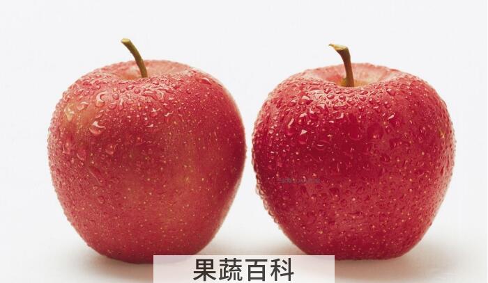 苹果是寒性还是热性，爱吃苹果必知四个禁忌
