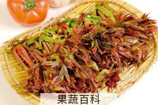 吃香椿有什么好处和坏处