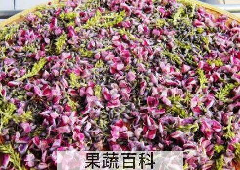 女人喝葛花茶的好处