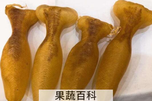 小孩吃蜘蛛鱼胶的功效