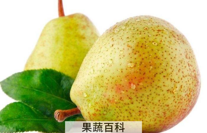 梨子是寒性还是热性，糖尿病患者别盲目吃梨