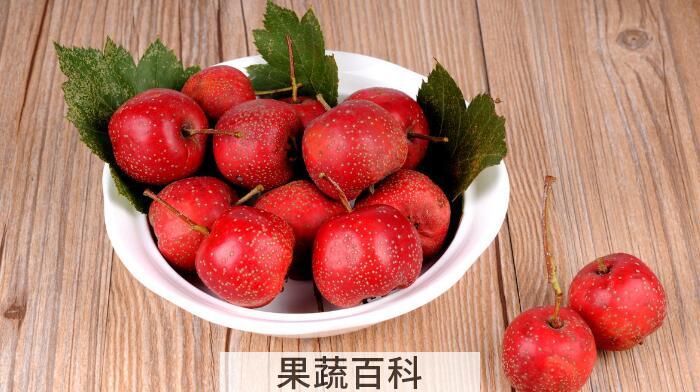 记忆中最熟悉的山楂味，那么山楂是寒性还是热性？