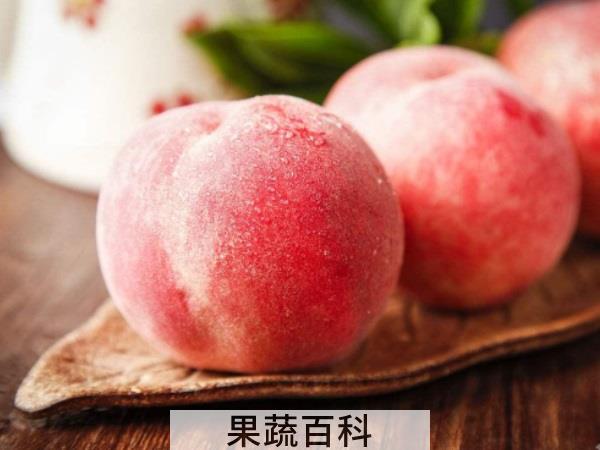 桃家族名单公布 桃类水果有哪些品种