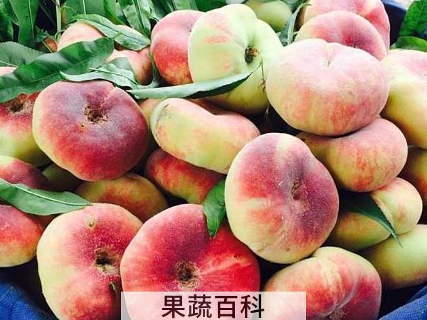 桃家族名单公布 桃类水果有哪些品种