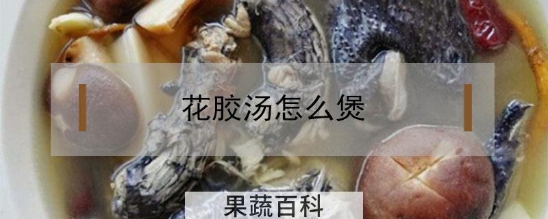 花胶汤怎么煲