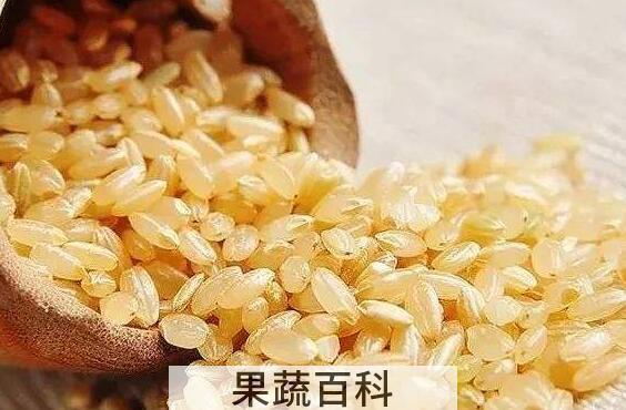 糙米怎么吃好 糙米的最佳吃法