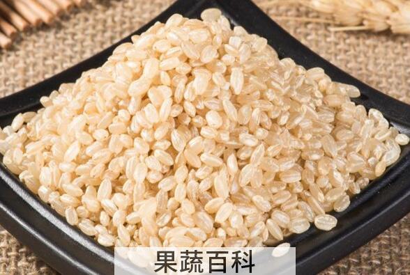 糙米怎么吃好 糙米的最佳吃法