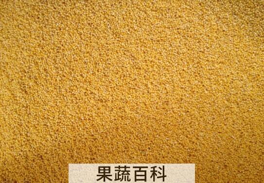 软糜子和硬糜子有什么区别