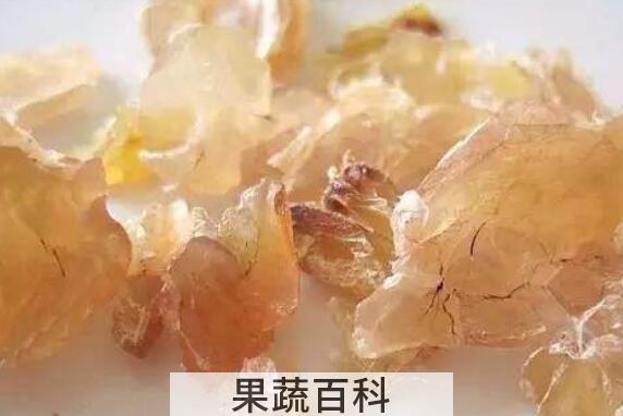 雪蛤哪些人不能吃 雪蛤的副作用和禁忌