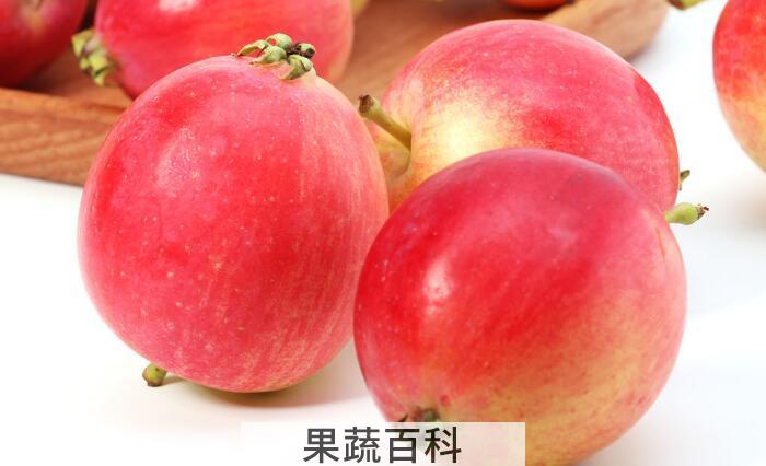 海棠是寒性还是热性，教你如何判断水果的性质？