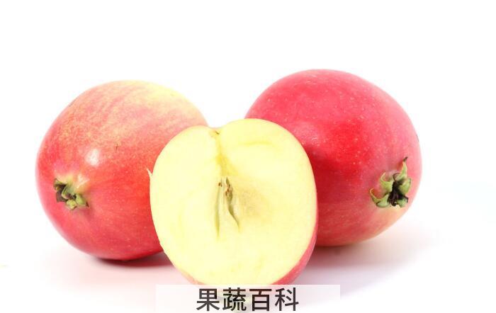 海棠是寒性还是热性，教你如何判断水果的性质？