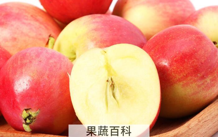 海棠是寒性还是热性，教你如何判断水果的性质？