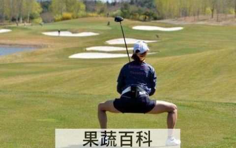 蹲马步的好处和坏处