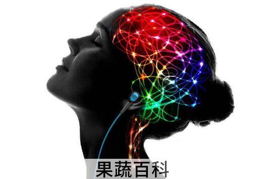 多巴胺的功效与作用