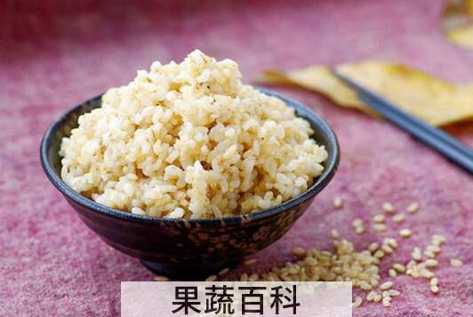 糙米饭怎么做 糙米饭的家常做法窍门