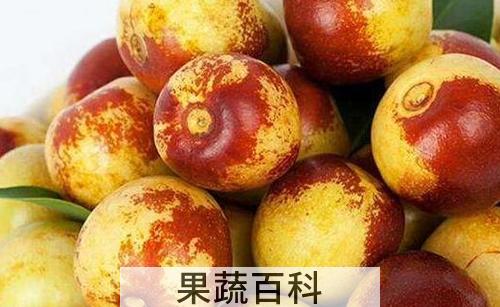 冬枣的功效与作用及禁忌
