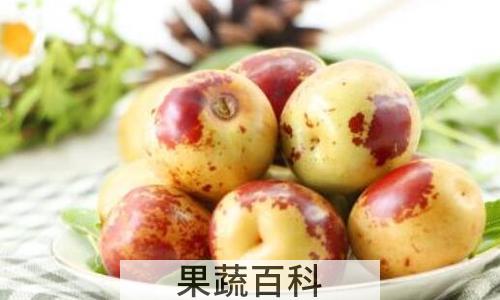 冬枣的功效与作用及禁忌