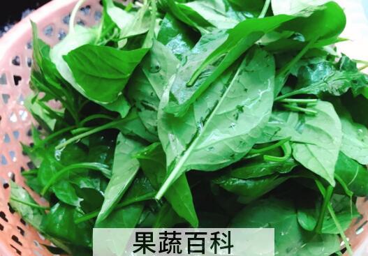 辣椒叶怎么吃 辣椒叶的做法大全家常
