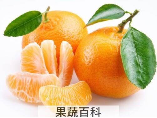 橘子不能和什么一起吃  柑橘有哪些营养价值