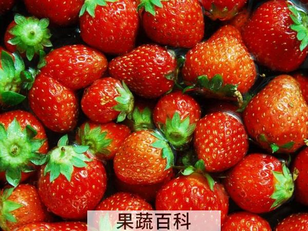 预防致死类疾病 抗癌水果有哪些