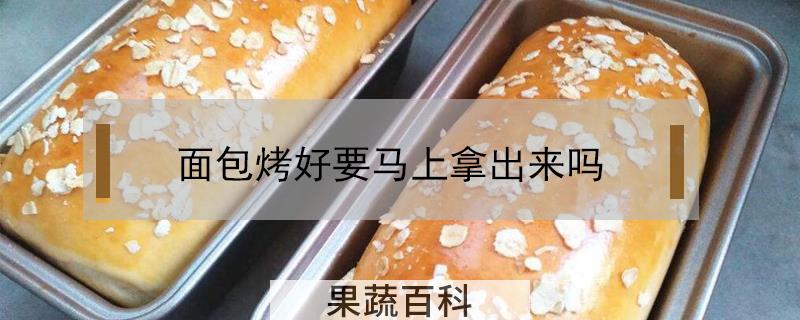 面包烤好要马上拿出来吗