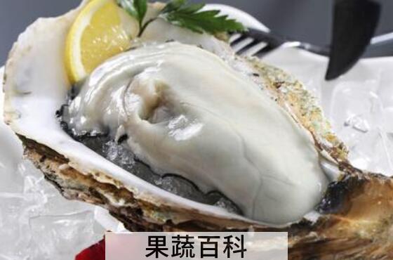 外观怎么区分生蚝和牡蛎 生蚝的功效与作用