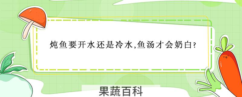 炖鱼要开水还是冷水,鱼汤才会奶白?