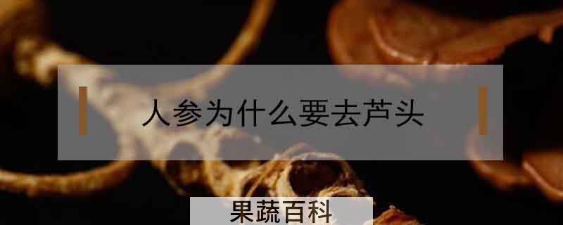 人参为什么要去芦头