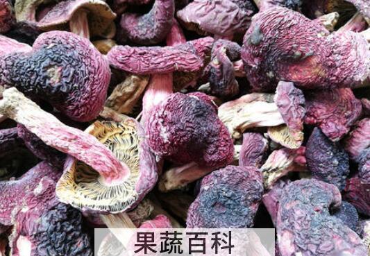 红菌菇的功效与作用