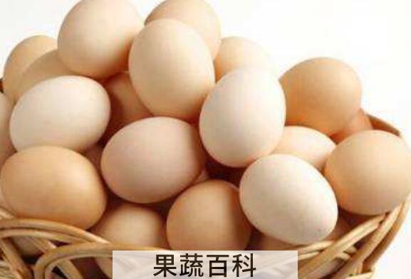 千万不要天天吃鸡蛋 天天吃鸡蛋有哪些坏处