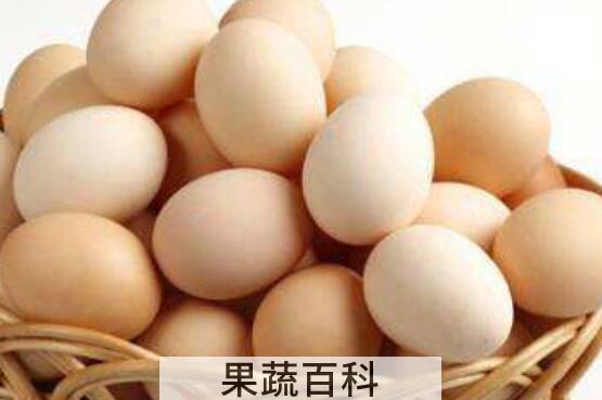 千万不要天天吃鸡蛋 天天吃鸡蛋有哪些坏处