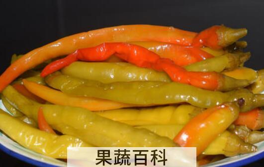 怎么泡辣椒又脆也不烂