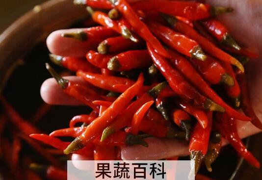 小朝天椒怎么腌制好吃